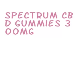 spectrum cbd gummies 300mg