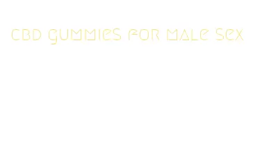 cbd gummies for male sex