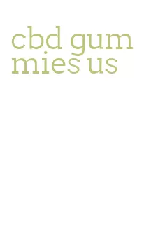 cbd gummies us