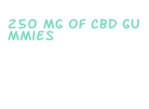 250 mg of cbd gummies