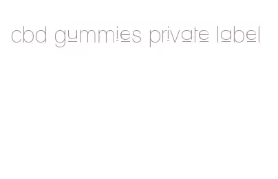 cbd gummies private label