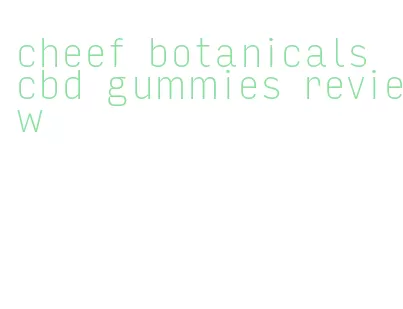 cheef botanicals cbd gummies review