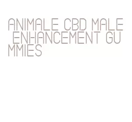 animale cbd male enhancement gummies