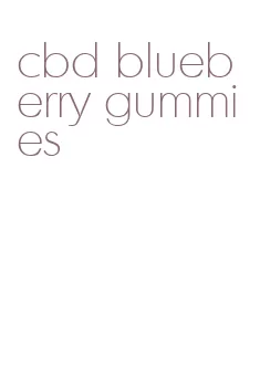 cbd blueberry gummies