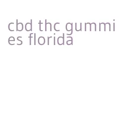 cbd thc gummies florida