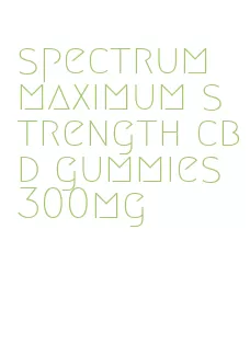 spectrum maximum strength cbd gummies 300mg