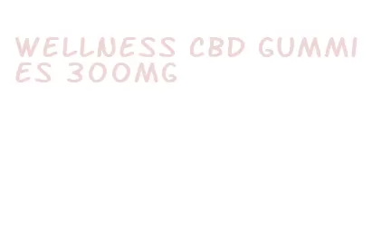 wellness cbd gummies 300mg