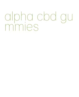 alpha cbd gummies