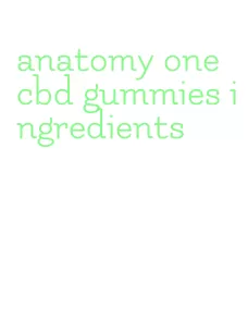 anatomy one cbd gummies ingredients