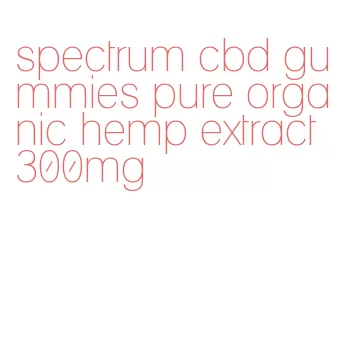 spectrum cbd gummies pure organic hemp extract 300mg