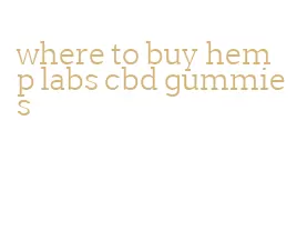 where to buy hemp labs cbd gummies