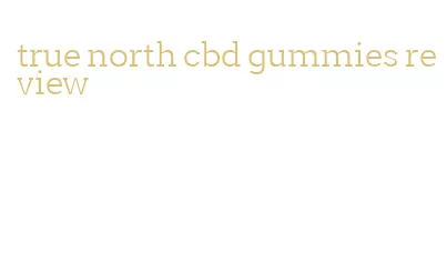 true north cbd gummies review