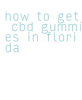 how to get cbd gummies in florida