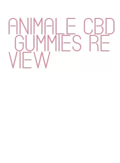 animale cbd gummies review