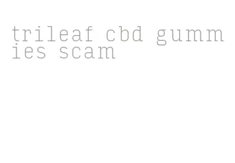 trileaf cbd gummies scam