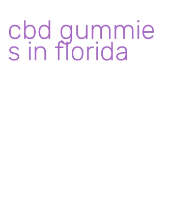 cbd gummies in florida