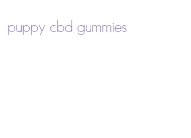 puppy cbd gummies