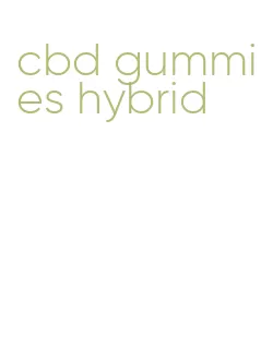 cbd gummies hybrid