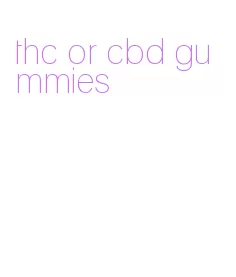 thc or cbd gummies