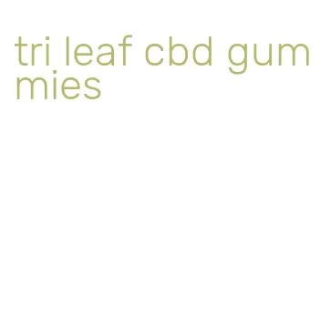 tri leaf cbd gummies