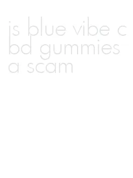 is blue vibe cbd gummies a scam