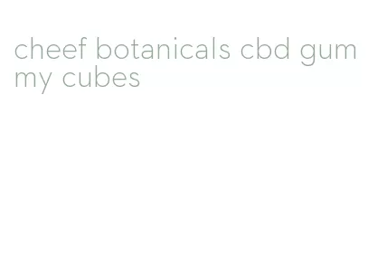 cheef botanicals cbd gummy cubes