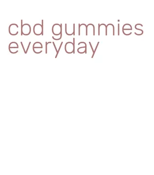 cbd gummies everyday