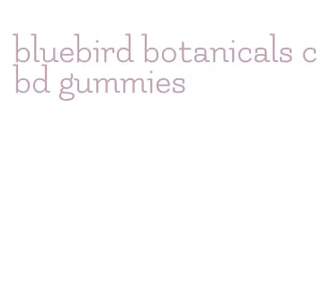 bluebird botanicals cbd gummies