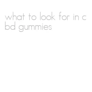 what to look for in cbd gummies