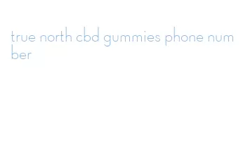 true north cbd gummies phone number