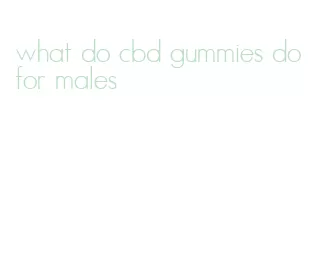 what do cbd gummies do for males