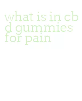 what is in cbd gummies for pain