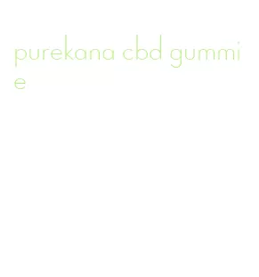 purekana cbd gummie