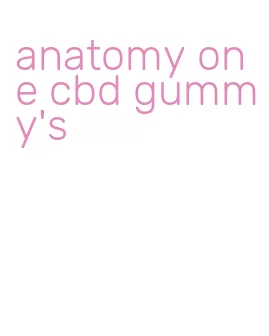 anatomy one cbd gummy's