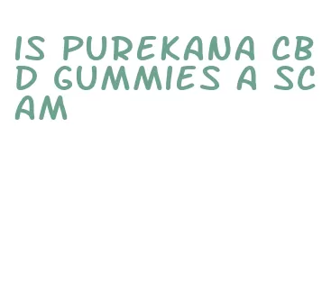 is purekana cbd gummies a scam