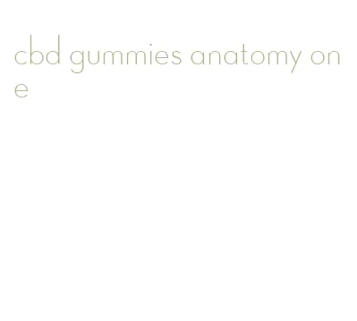 cbd gummies anatomy one