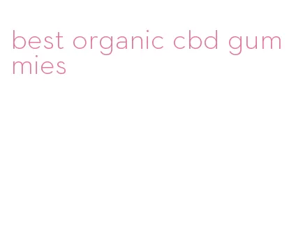 best organic cbd gummies