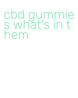 cbd gummies what's in them