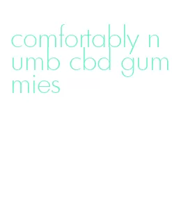 comfortably numb cbd gummies