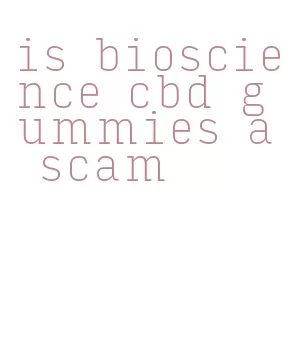 is bioscience cbd gummies a scam