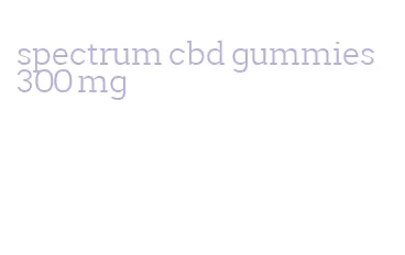 spectrum cbd gummies 300 mg