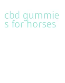 cbd gummies for horses