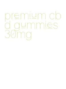 premium cbd gummies 30mg