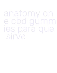 anatomy one cbd gummies para que sirve