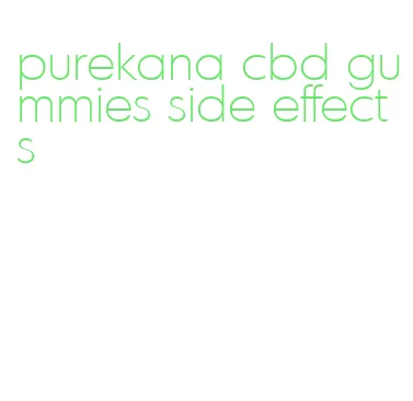 purekana cbd gummies side effects