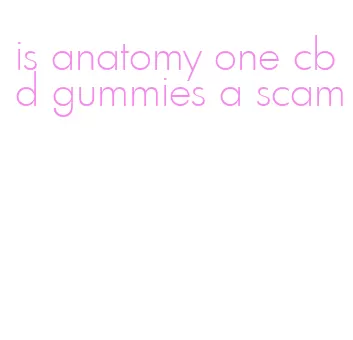 is anatomy one cbd gummies a scam