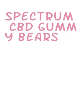 spectrum cbd gummy bears