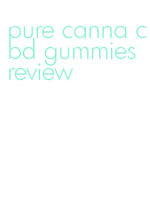 pure canna cbd gummies review