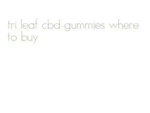 tri leaf cbd gummies where to buy