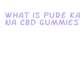 what is pure kana cbd gummies